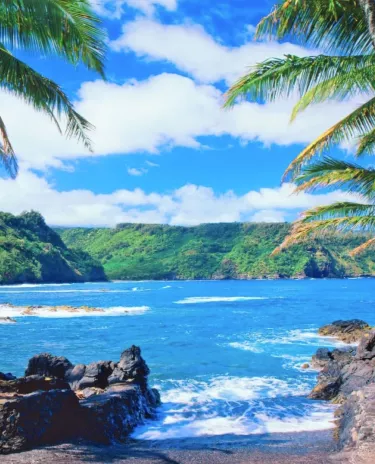 virtual trip HAWAII MAUI HD master version低価格 DVD  :20210802130648-00319:ニューライフストア - 通販 - Yahoo!ショッピング - 邦画